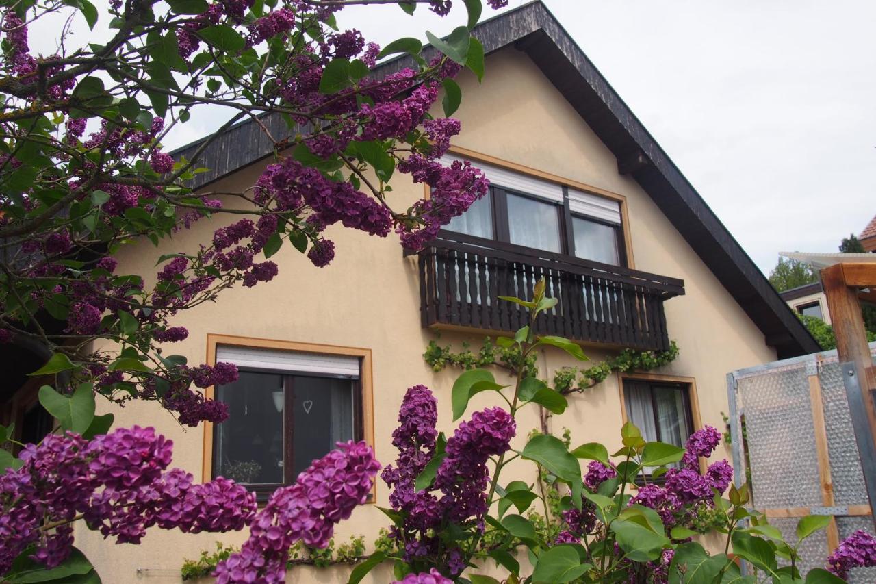 Haus Sonneneck Lejlighed Bad Bocklet Eksteriør billede