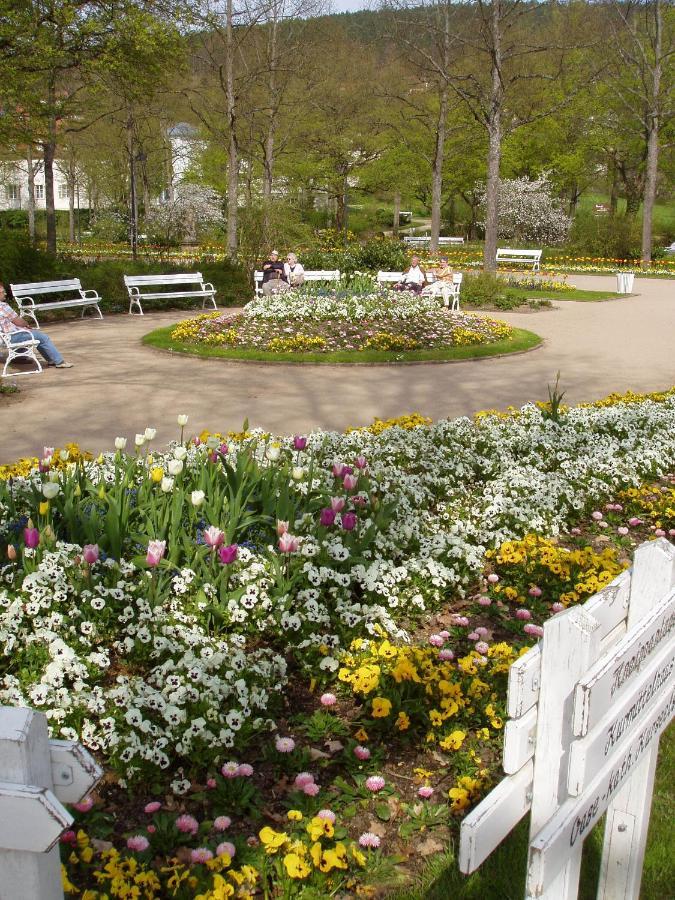 Haus Sonneneck Lejlighed Bad Bocklet Eksteriør billede
